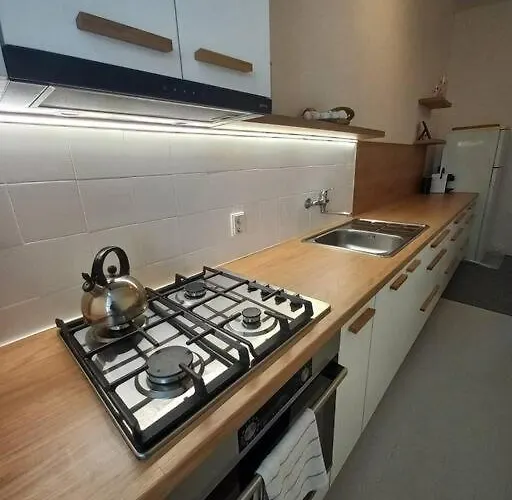 Lp 1926 Aneb U Nas Doma Appartement